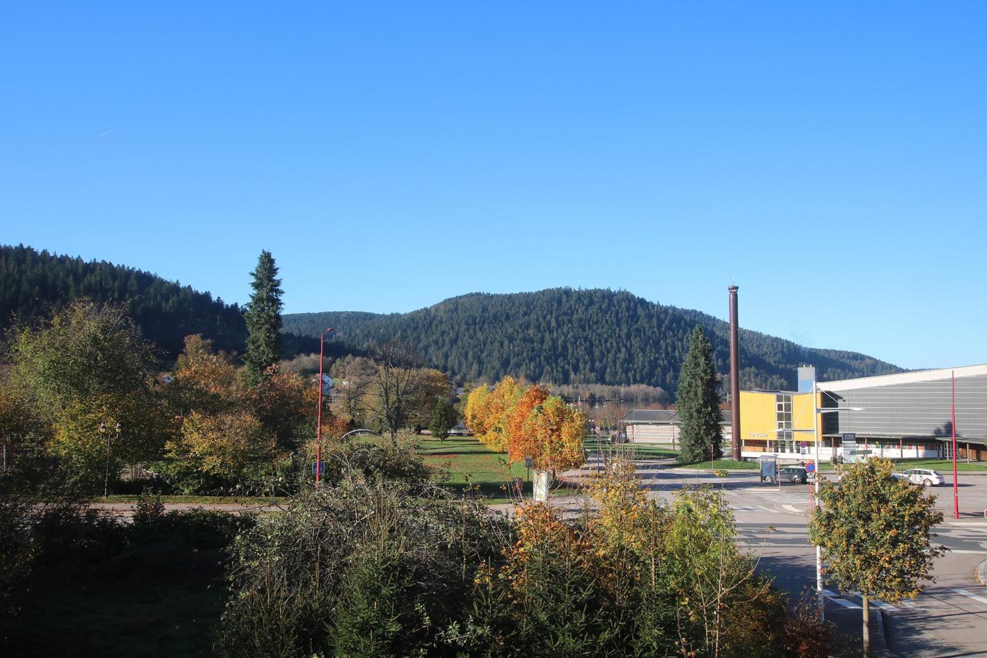 Les Loges Du Parc Hotel Gerardmer Room photo
